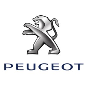 Przewód Hamulcowy 4806.K1 4806K1 Peugeot 5008 Oryginał Nowy