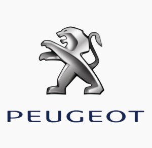 Nadkole Prawy Przód 9823309080 Peugeot 208 II Oryginał Nowy