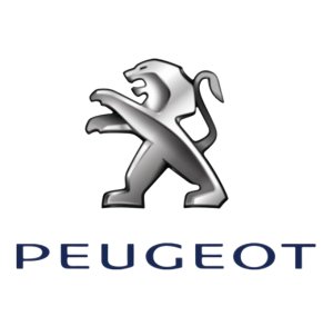 Bezpiecznik 125A 11056390 Citroen C1 Peugeot 107 Oryginał Nowy