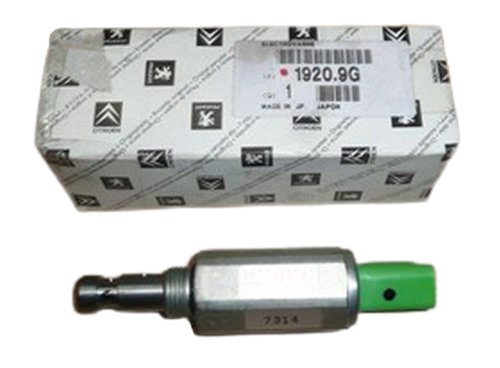 Zawór Zmiennej Fazy Rozrzadu  Peugeot Citroen   2.2 9630499380