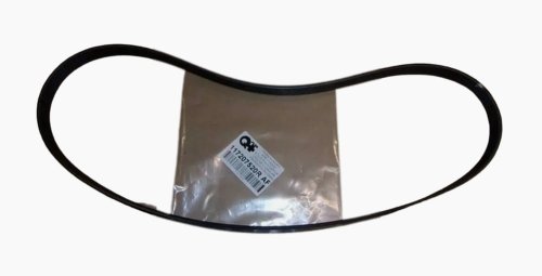 Pasek Klinowy 6pk1152 OM Renault 117207520R