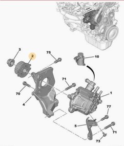 Koło Rozrządu 1,4 1,6 E-HDI 193047 9683818280 Citroen Peugeot Ford Volvo