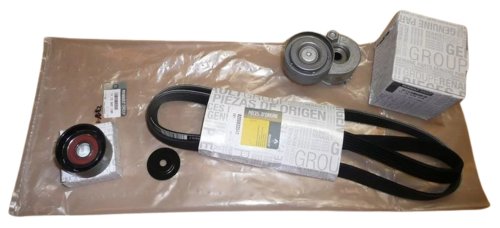 Komplet Paska Klinowego 117200713R Renault Laguna II 1.9DCI Oryginał 