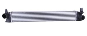 Chłodnica Powietrza 1613994080 Citroen Jumper III 2.2HDI Oryginał 