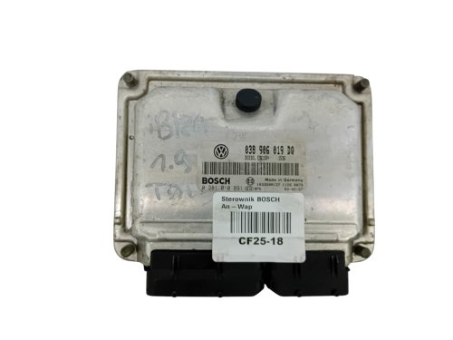 Sterownik ECU 038906019DQ 0281010891 Volkswagen Seat
