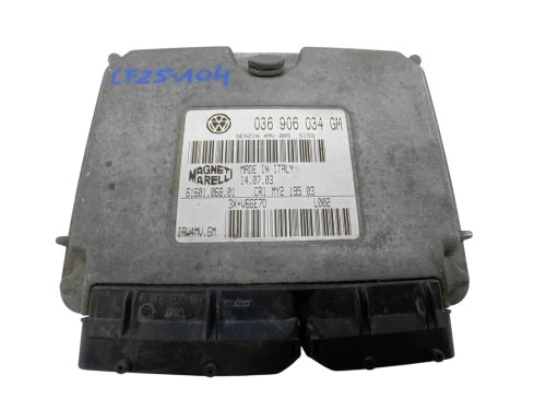 Sterownik 036906034GM  61601.068.01  IAW4MV.GM  Volkswagen, Seat, Skoda