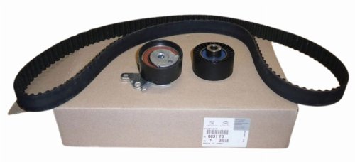 Rozrząd Kpl 0831.T0 0831T0 Citroen C5 Peugeot  406 2.0 16V HPI Oryginał Nowy