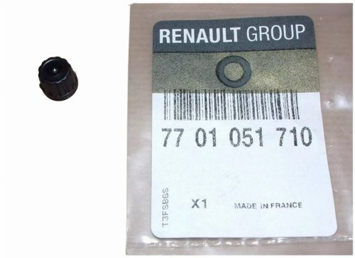 Odpowietrznik Układu Chłodzenia 7701051710 Renault Oryginał Nowy