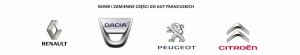 Zestaw Naprawczy Pompy Wtryskowej 456610 4566.10 Peugeot 306 Oryginał Nowy