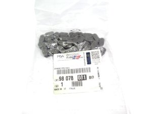Łańcuch Pompy Oleju Peugeot Citroen 2.0HDI 9807808180