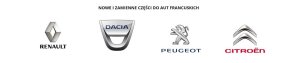 Blokada Bagażnika Rowerowego 7711422443 Dacia Oryginał Nowy