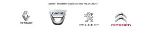 Turbosprężarka 144107877R Renault Trafic III 2.0 dCi Nowy Oryginał